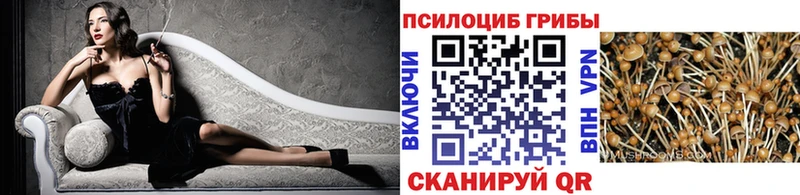 цены наркотик  Евпатория  Галлюциногенные грибы GOLDEN TEACHER 