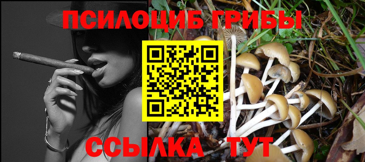 Псилоцибиновые грибы Psilocybe  Вход с VPN  Евпатория  Псилоцибиновые грибы Magic Shrooms 