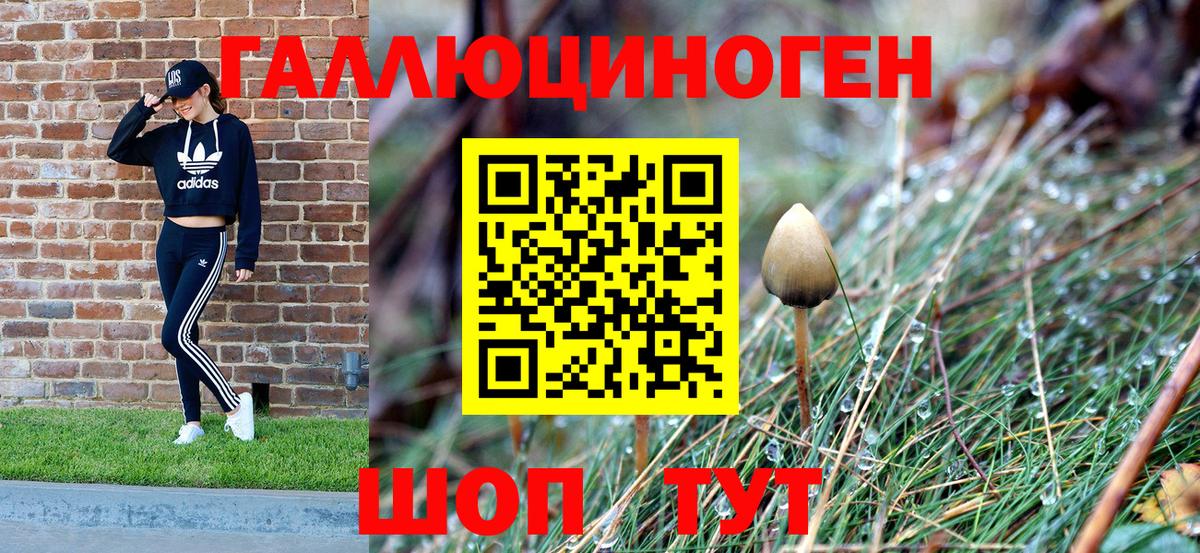 Галлюциногенные грибы GOLDEN TEACHER Евпатория